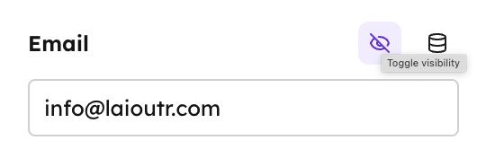 A visibility decorator in the Studio sidebar: an Email field with a Toggle visibility eye control in its header.